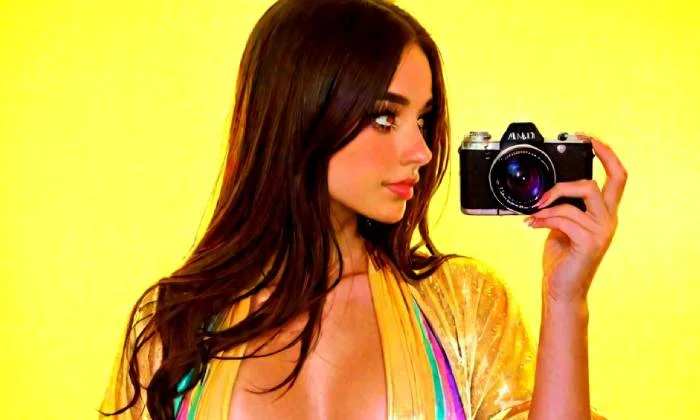 SEO Cleanup After Content Piracy: Recovery Guide